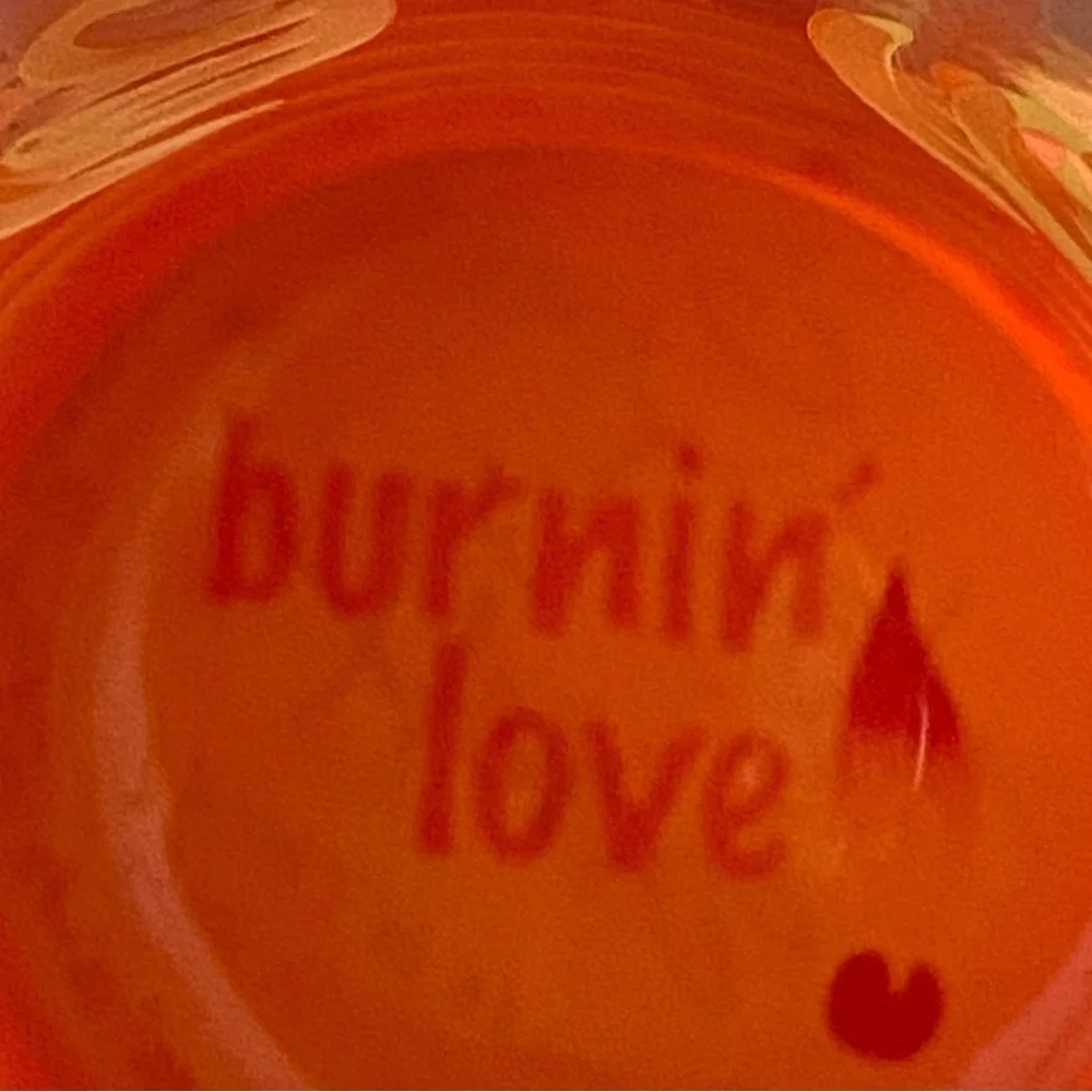 💜 Top Shelf You Light My Fire Burning Love Fun Barware with a Twist Pilsner Glas